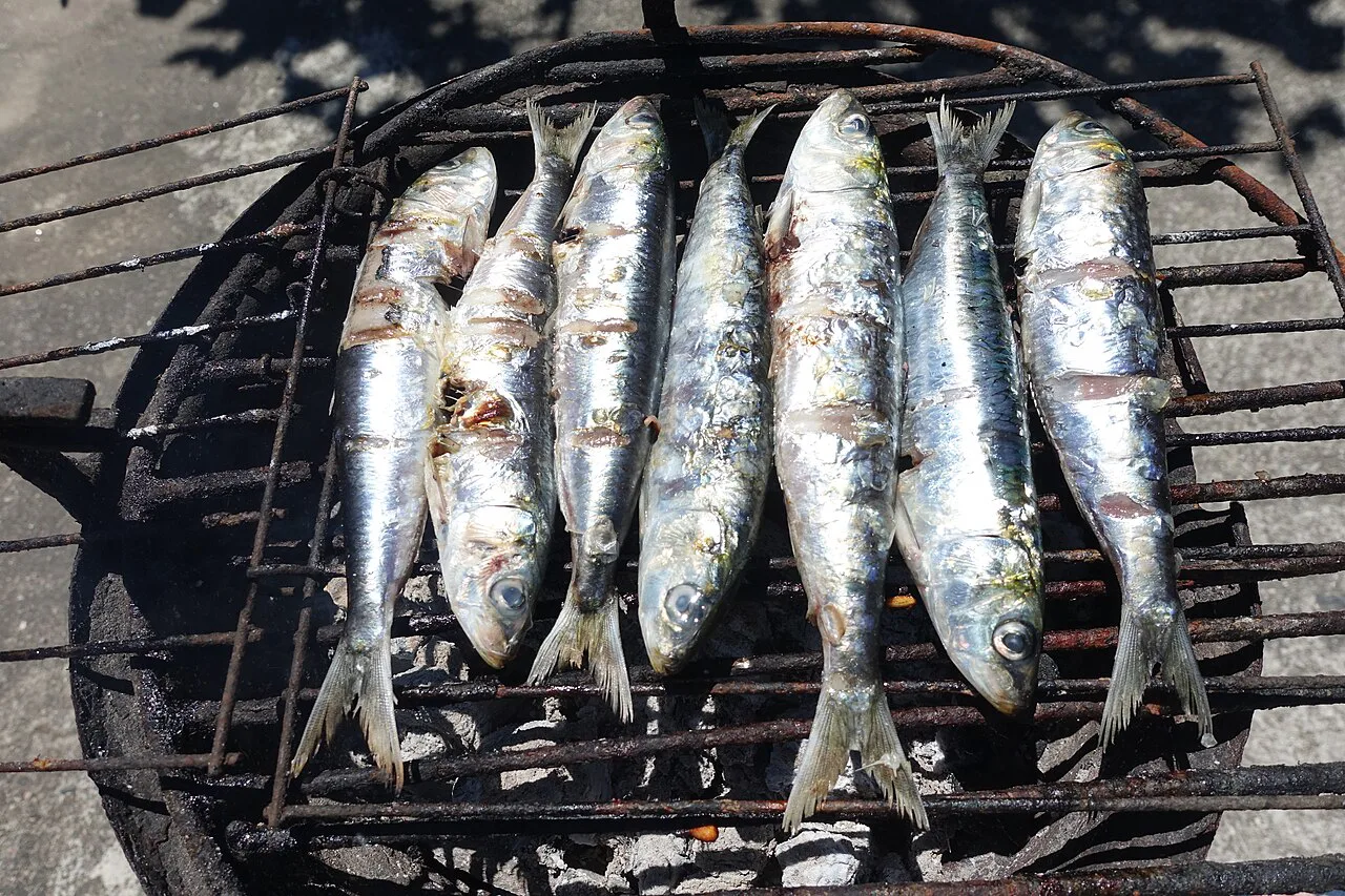 Sardines on a grill in Apúlia, Portugal.
