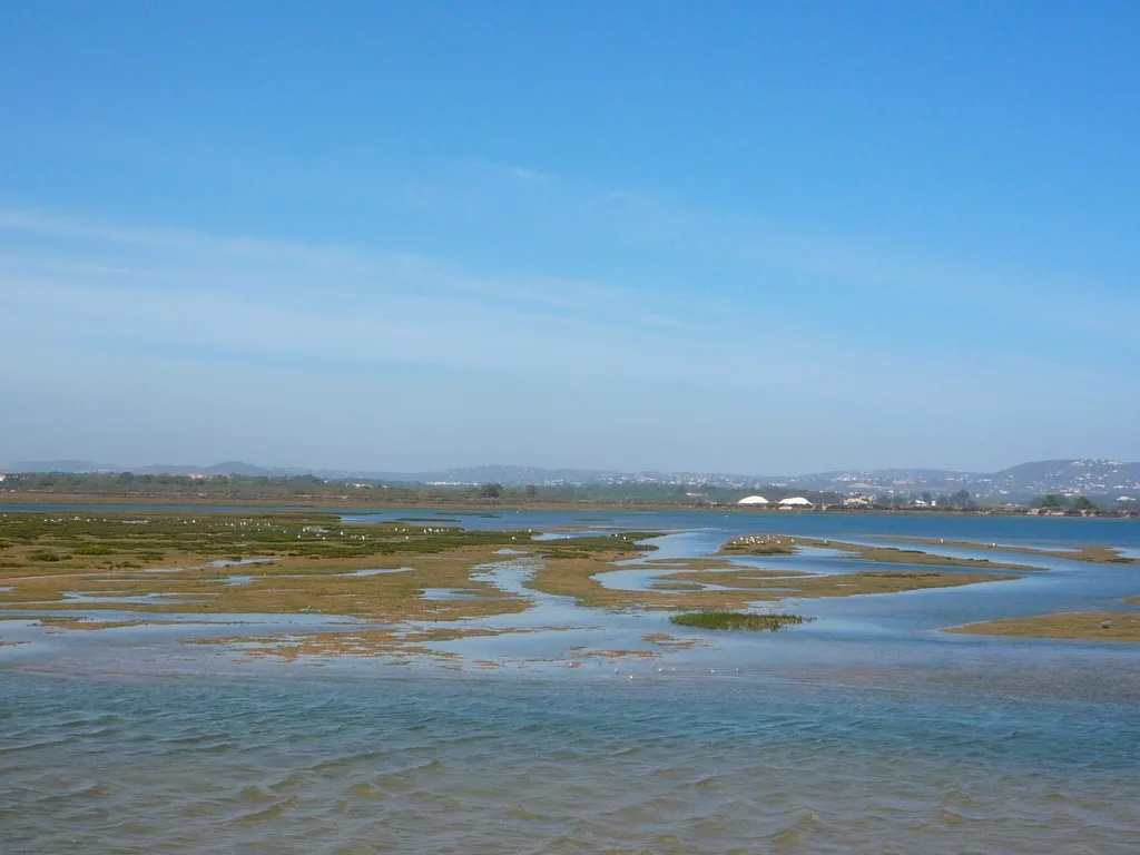 Tidal channels and sandbanks in the Ria Formosa Natural Park near Faro.