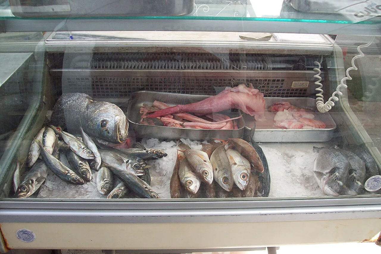 Fresh fish on display in a restaurant in the Troino quarter of Setúbal.