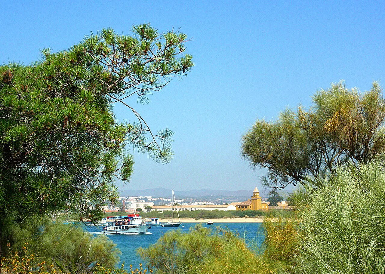 Boats on the water seen through pine trees on Tavira Island.