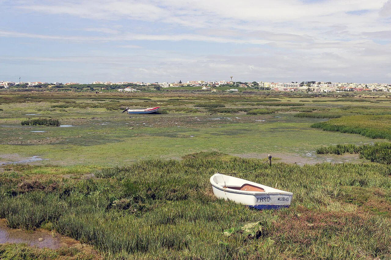A small boat stranded on the salt marsh near Faro.