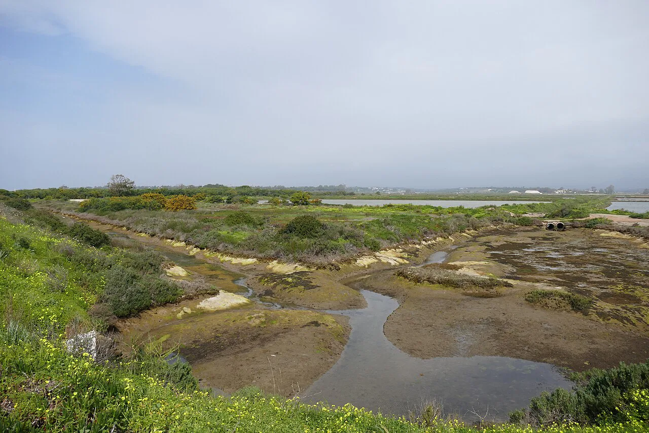 The Ria Formosa wetlands seen from the Ludo Trail near Faro Airport.
